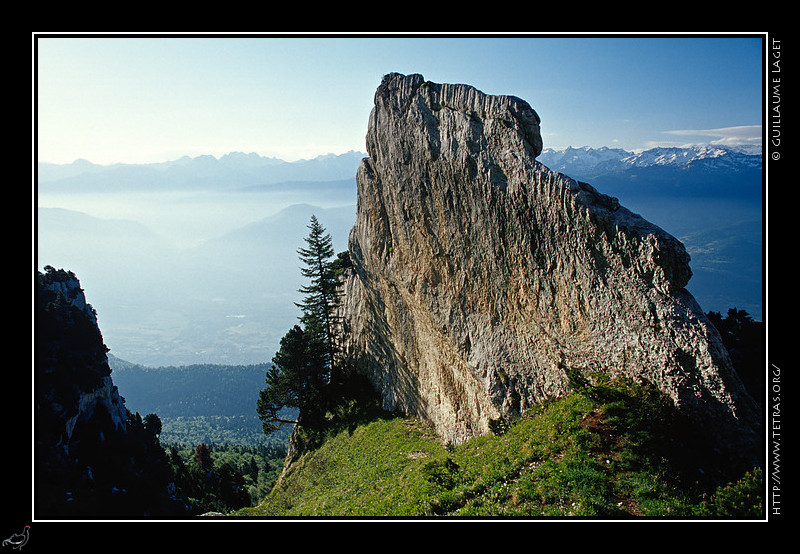 Chartreuse : Lame dans la descente du pas de Ragris