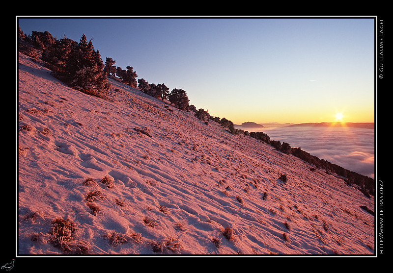 Chartreuse : Coucher de soleil sur les pentes  peine enneiges de Chamechaude