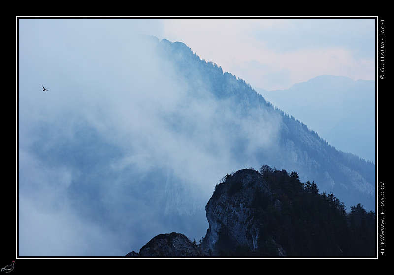 Chartreuse : Faucon et nuages sous le Charmant Som 
