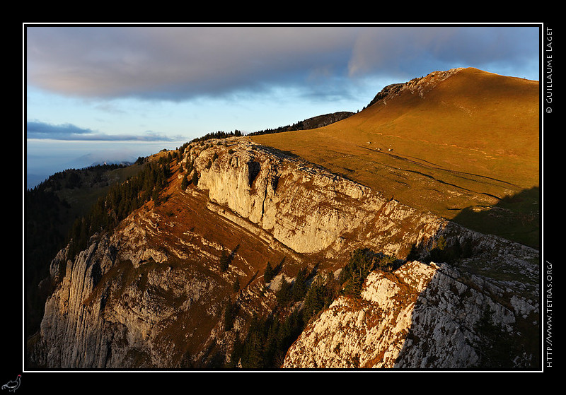 Chartreuse : L'alpage du Charmant Som 
