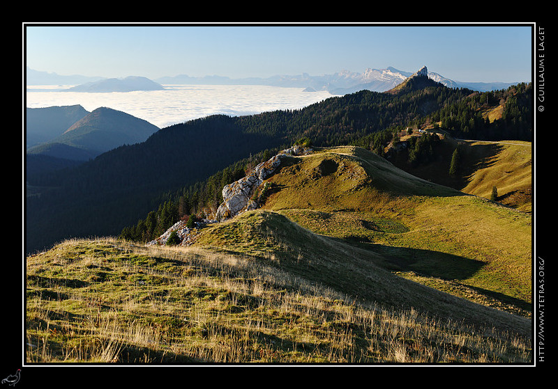 Chartreuse : L'alpage du Charmant Som 
