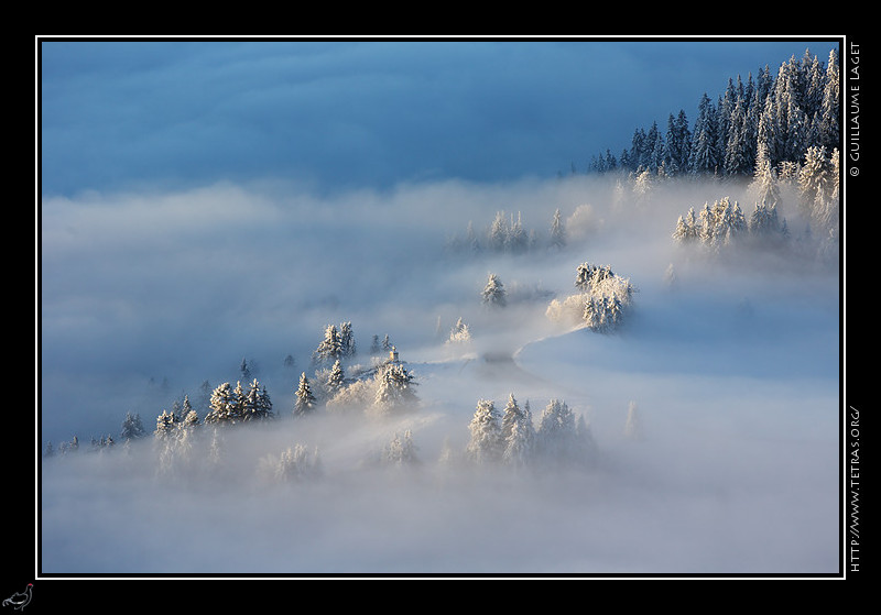 Chartreuse : Neige et brumes sous le Charmant Som 
