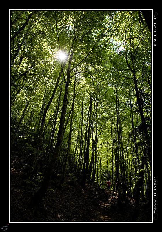 Chartreuse : Le long du Guiers Vif, le sentier memant au pas de la Mort et aux cascade de Saint-Mme