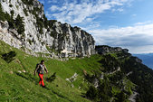 Chartreuse : Sur le petit sangle entre col de l'Alpe et col de Belles Ombres