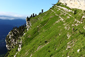 Chartreuse : Sur le sangle du Fourneau