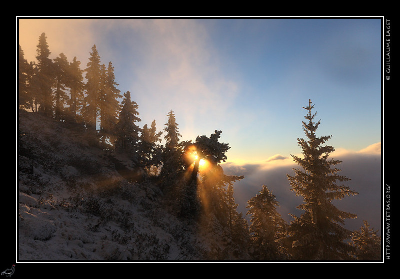 Chartreuse : Rayons du soleil couchant depuis le sangle de la Barrre, en face ouest de la Dent de Crolles, 
juste  la limite de la mer de nuages ce soir-l