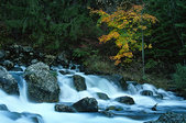 Devoluy : File d'eau vers la resurgence des Gillardes