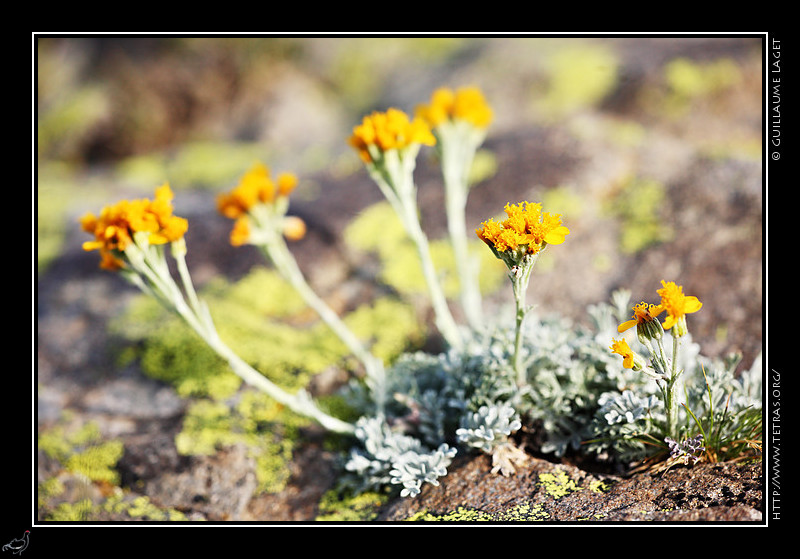 Faune et flore : 