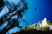 Luberon : Chute des feuilles dans les gorges d'Oppedette