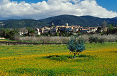 Luberon : Le village de Lourmarin