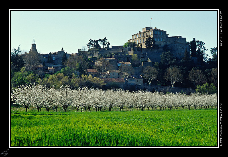 Luberon : Le village d'Ansouis et des arbres en fleurs au printemps