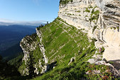 Chartreuse : Sur le sangle du Fourneau