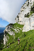 Chartreuse : Sur le sangle du Fourneau