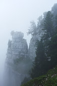 Chartreuse : L'aiguille du couloir de la Rousse