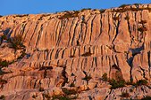 Chartreuse : Les Dalles du Charmant Som