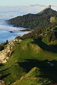 Chartreuse : Lever de soleil sur la Pinea et l'alpage du Charmant Som