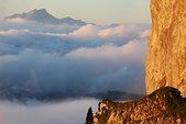 Vercors : Bouquetin sous les falaises du Playnet