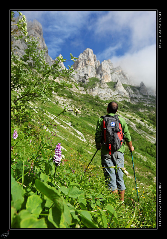 Rcits de randonnes : Un randonneur...entre une orchide et le couloir du Pas Etoupe, un prochain objectif ?