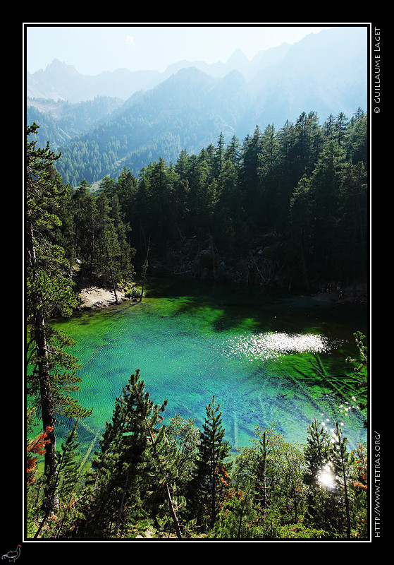 Rcits de randonnes : Vue d'ensemble du lac entour de pins 
