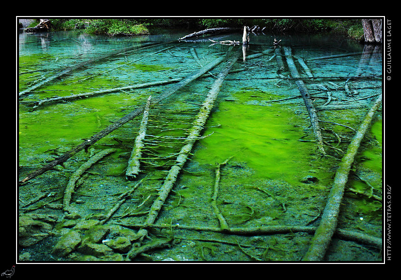 Rcits de randonnes : Ombre sur le vert