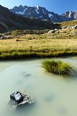 Ecrins : Reou d'Arsine et Agneaux