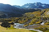 Ecrins : Reou d'Arsine et pentes d'herbe sous les Agneaux