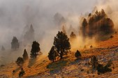 Vercors : Rayon de soleil dans le vallon de Combeau