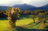 Gapencais : Automne et soleil couchant sur un chemin du Gapencais