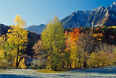 Vercors : L'automne sous la Tete Chevaliere, vers Chichilianne