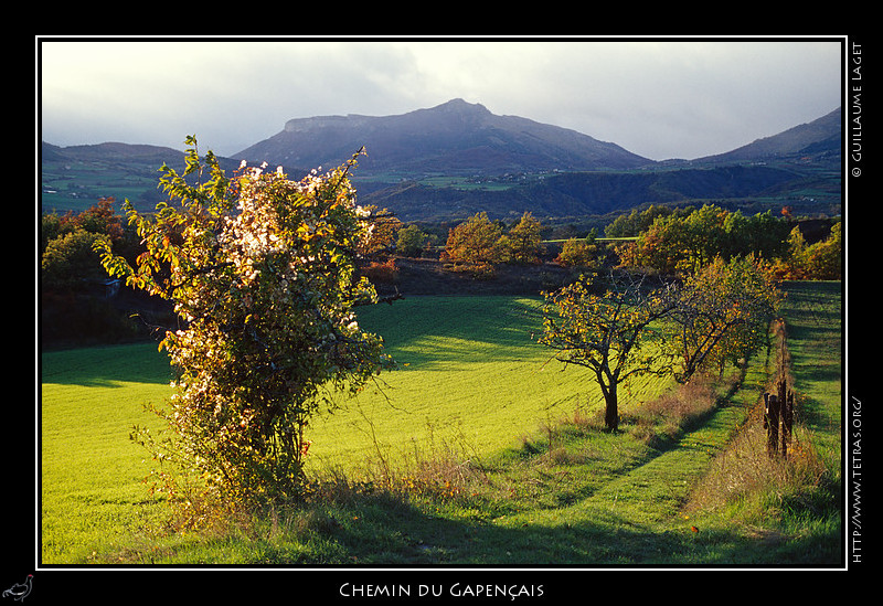 Rcits de randonnes : Automne et soleil couchant sur un chemin du Gapenais