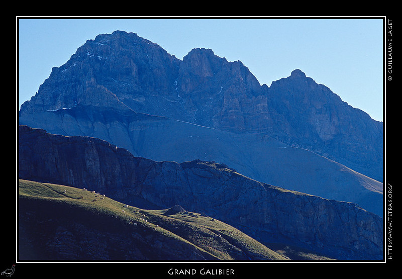 Rcits de randonnes : Troupeau dans un alpage devant le Grand Galibier