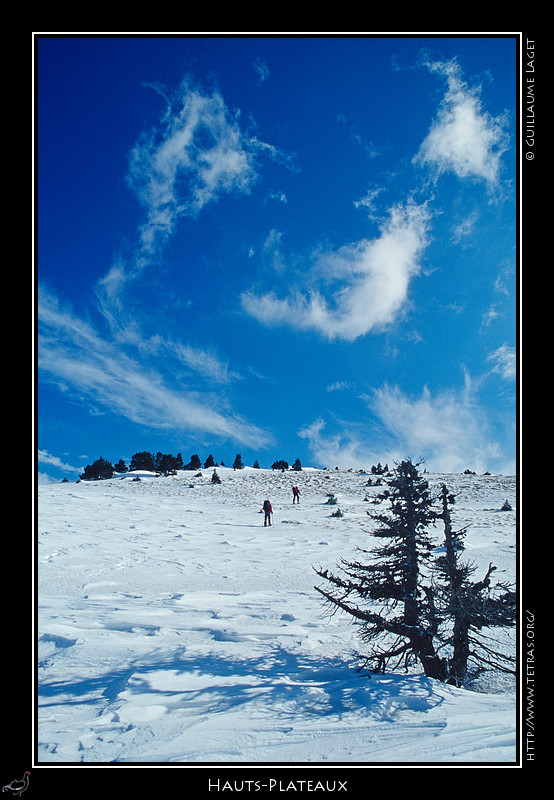 Rcits de randonnes : Sur les Hauts-Plateaux du Vercors, vers la Croix du Lautaret