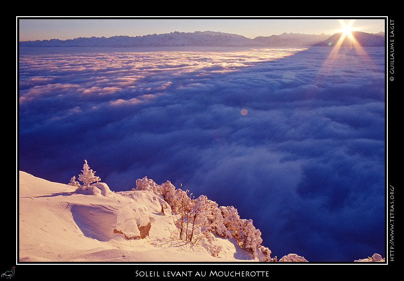 Rcits de randonnes : Depuis le sommet du Moucherotte, soleil levant derrire Belledonne