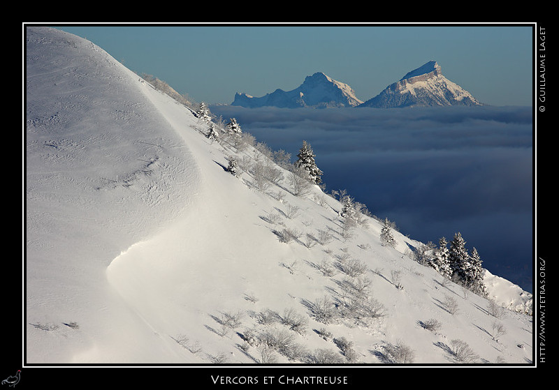 Rcits de randonnes : Les sommets de Chartreuse (Grand Som, Chamechaude)  mergent des brumes, derrire les
crtes de l'alpage du Serpaton