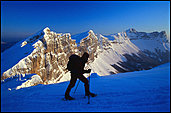 Monte en ombre chinoise