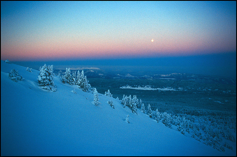 Rcits de randonnes : La clart du jour pousse  presser le pas, mais dur d'en faire plus  d'une dizaine sans souffler. Une bonne excuse est fournie par la lune qui se 
 rapproche de l'horizon derrire nous, au del des vastes forts du Vercors 
 occidental : encore quelques photos de la progression.
 
  Enfin c'est l'arrive au pas, tout blanchi, mme les quelques pins qui
 survivent l sont recouverts entirement de neige. Dernire monte pour se
 rapprocher du sommet, et s'carter du renfoncement du pas pour une meilleure vue
 au moment des premiers rayons. Une silhouette de lagopde se dtache sur la
 crte ; un peu trop belle pour tre vraie, le temps de sortir l'appareil je me
 rends compte qu'il ne s'agit que d'une branche couverte de neige ! Dommage : la
 silhouette et la position taient un peu trop idales...Je demande  Olivier de
 m'attendre au bord de la crte pendant que je monte vers le petit replat o loge
 ce lagopde. 
 
