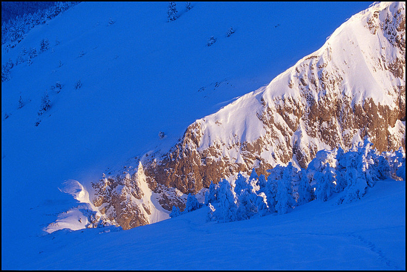 Rcits de randonnes : La brche du pas Ernadant, qui semble impossible  descendre en cette saison. Il est 7h50, on y va ! Descente agrable dans la neige poudreuse, un passage dlicat
 sur une petite crte bien charge pour traverser le petit plateau dgag du
 Grand Pot, et l'on retrouve nos traces de monte. Descendre est plus facile que
 monter ; bien que tout blanc encore, le plateau et la fort sont moins
 impressionnant dans l'ombre, ou sous les rayons qui commencent  arriver, que
 plus tt sous la pleine lune.
 
  Raquettes enleves, le GR parat interminable, 5km de faux-plat avec la
 fatigue. Quelques skieurs de fond ou raquettistes croises aux abords de la
 station, et puis c'est la voiture, il est 10h15 environ. Et au soleil il fait
 presque doux, compar  la nuit qui a prcd. Je sens quand mme l'huile de la
 bote de vitesse et du volant durcie par le froid.
 
  Une belle sortie encore, dans un secteur dont je ne me lasserai sans doute
 jamais...La grande varit des paysages, du village  la fort et ses clairires
 du plateau, la fort plus pentue et puis les prairies semes de pins  crochets
 qui montent jusqu'aux crtes.
 
