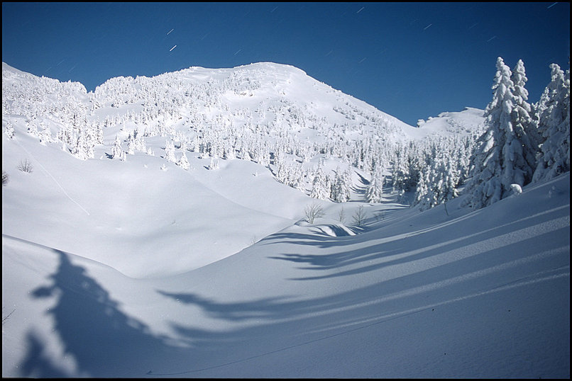 Rcits de randonnes : La monte semble raide dans toute cette neige  tracer : une grosse sous-couche est recouverte de 20  30cm plus poudreux, et les branches de certains picas 
 semblent bien basses ! Un passage un peu plus raide pour sortir de la fort et
 rejoindre une zone plus dgage, une grand barre rocheuse dont on se rapproche
 devrait se terminer au sud par un petit passage...Et c'est bien cela, cette
 fois pas de problme finalement, hormis la fatigue de tracer dans la neige,
 vers 4h30 c'est l'arrive sur la dpression du Grand Pot. Boussole et GPS
 n'auront pas servi...
 
  La fort immense au nord comme au sud, pins et picas sont tous couverts de 
 neige, et  l'est les crtes dominent tout ce paysage clair par la lune et les
 toiles. Pas une trace humaine ici, pas mme un rocher qui dpasse : la neige
 recouvre tout,  l'exception de quelques pas d'animaux. Deux petits humains
 perdus dans l'immense rserve des Hauts-Plateaux, et frigorifis par la fin des
 efforts, la sueur qui commence  refroidir, et un lger souffle de vent du nord
 qui aggrave la sensation de froid. J'ai dj rencontr vent bien plus fort en
 montagne, mais trs rarement par un froid aussi vif, heureusement qu'ici il ne
 s'agit que d'une petite brise dont il est facile de s'abriter derrire les plus
 gros arbres.
 
  Cela n'empche pas de prendre quelques photos, un peu surexposes : la nuit
 l'exposition est 