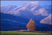 Col du Festre