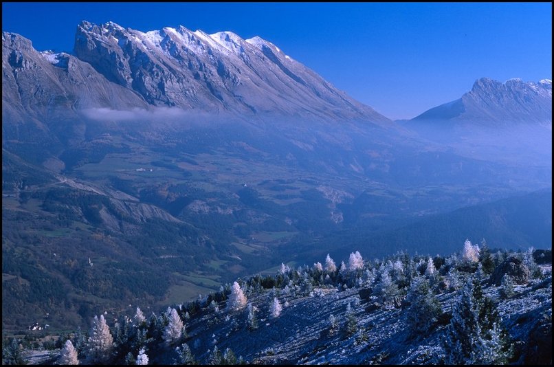 Rcits de randonnes : On voit bien sur cette photo le phnomne mto intressant : le peu de neige tomb a fondu sur le sol chaud mais est reste sur les herbes et les
 arbres dans l'air plus froid.
 
