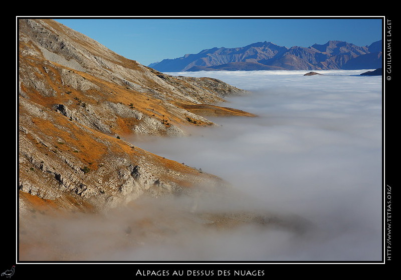 Rcits de randonnes : Alpages au dessus des nuages 
