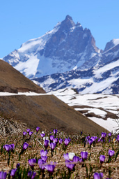 La photo de la semaine du site Lumires de l'Alpe