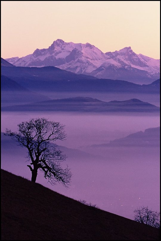 Photo : Chartreuse : Semaine anticyclonique, la brume recouvre Grenoble, et la nuit arrive sur la valle et le massif du Dvoluy au loin. 
