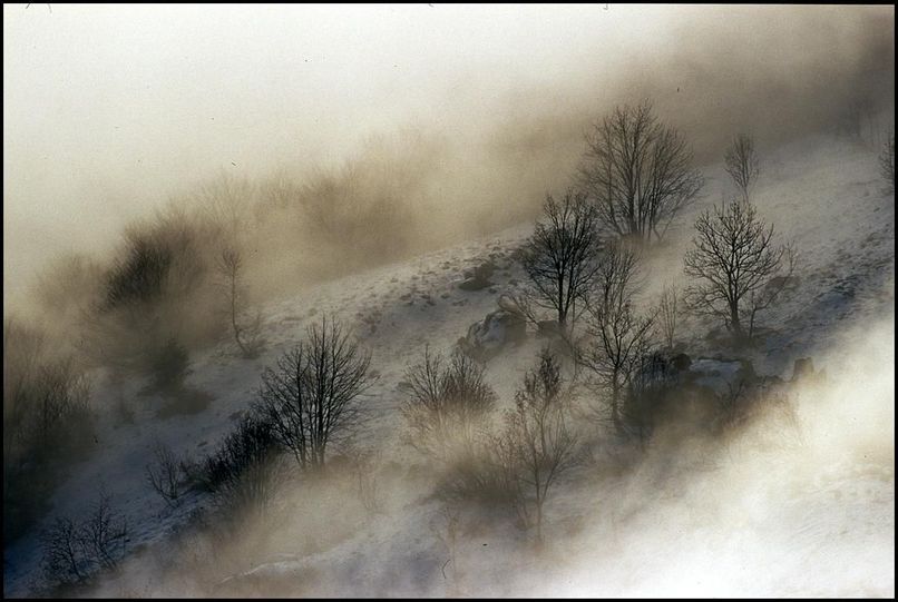 Photo : Vercors : en montant au col Vert par Prlenfrey, la brume laisse entrevoir quelques silhouettes d'arbres dpouills de leurs feuilles. 
