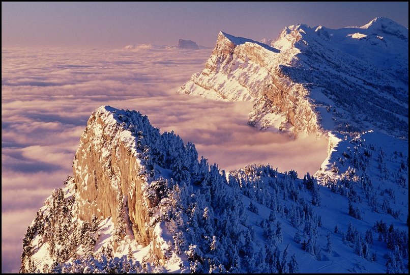 Photo : Vercors : Enfin, la neige, beaucoup de neige, puis le soleil, radieux ! Les risques d'avalanche important m'ont men ce dimanche une fois de plus du Moucherotte, au plus prs de Grenoble. Ce n'tait jamais que ma dixime monte l-haut en hiver...Mais la plus intressante photographiquement : j'y avais dj vu le soleil se lever, la mer de nuages affleurer la roche Saint-Michel, les arbres platrs de neige, mais jamais les trois runis. Du coup si j'avais beaucoup photographi ce point de vue depuis le sommet, y compris dans une des photos slectionne dans le livre, je n'avais jamais russi  rendre ce cadrage prcis intressant...j'espre que c'est fait. Et si par malheur toute cette belle neige venait  fondre avant ma prochaine randonne, j'aurais quelques images d'avance pour les semaines qui viennent. 
