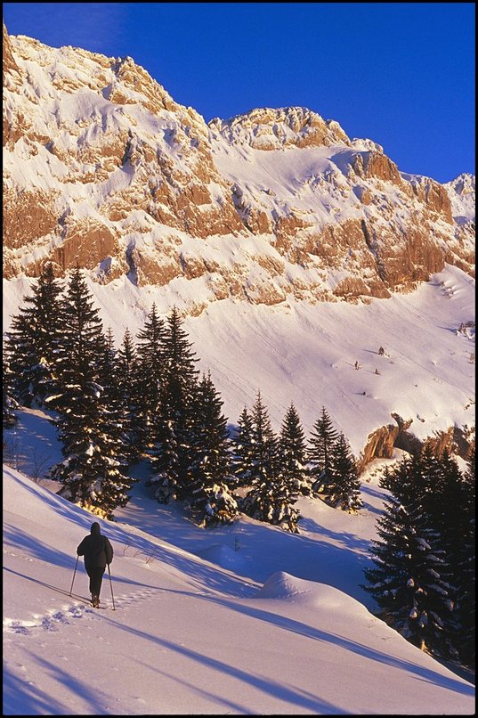 Photo : Vercors : petite sortie sous les falaises du Gerbier pour profiter d'un soleil couchant qui se rvlera lgrement voil. Depuis, la chaleur est revenue et toute cette belle neige s'est transforme en neige sale et boueuse,  moyenne altitude. 
