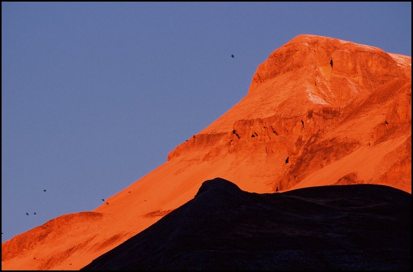 Photo : Lever de soleil sur la voie normale du Grand Ferrand (face sud), un vol de chocards passe juste  cet instant.Photo prise le 11 novembre, mais il y avait hier  peine plus de neige...deux ou trois centimtres  2500m. Seul le plateau de Bure semble avoir un peu gard les quelques flocons tombs dans la semaine. 
