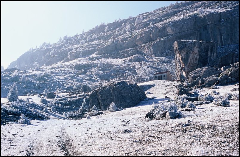 Photo : Dvoluy...la Pierre Baudinard et sa petite cabane, samedi dernier. Les quelques centimtres de neige tombs la veille ont bien tenu sur les herbes et les branches des arbres, alors qu'au sol, et plus haut en altitude dans une masse d'air plus chaude, tout a dj fondu. D'autres images de cette randonne dans la partie rcits. 
