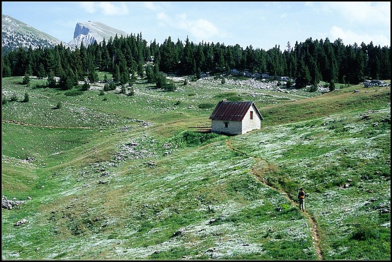 Photo : Vercors : Aprs la vire de Serre-Brion (photo de la semaine dernire) on peut passer le Pas et arriver sur les Hauts-Plateaux, non loin de la Jasse du Play : la semaine passe, tous les abords du refuge taient blancs des fleurs du printemps. Au loin, le sommet du Grand Veymont, suite logique de la sortie ! 
