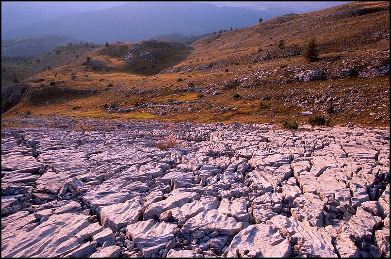 Photo : Retour  la randonne avec quelques lapiaz en Dvoluy (qui comme le Vercors en recle de nombreux), pris dimanche dernier au dbut d'une rando-exploration pour trouver un itinraire de monte au Grand Ferrand par le nord. Rcit et photo  voir sur  http://www.tetras.org/Recits/Ferrand_06_09_10.html.Pour les habitants de Haute-Savoie, j'en profite pour annoncer une confrence de Luc Moreau (glaciologue) 